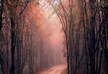 中国男子体操运动员肖若腾,已任北京先农坛体校副校长中国青年报.