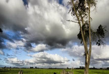 尤尔曼德:我们知道要与葡萄牙交手两次,所以这只是个开始.