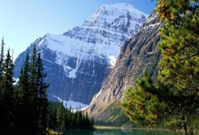 摔跤——亚洲锦标赛赛况.