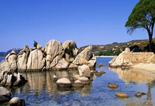 东契奇:我们基本上掌控了比赛 像这样输掉比赛很难接受.